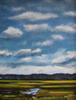 Cloudy Marsh